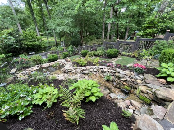 A lushly landscaped garden with stone framed waterfall and tall trees.
