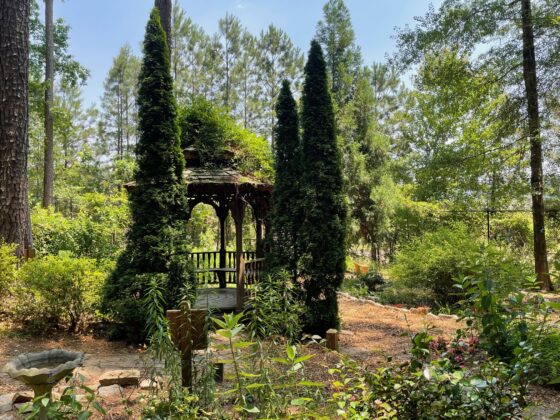 A gazebo in a nature preserve garden, surrounded by plants and trees.